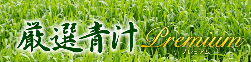 �������b�⌌���l��}����y���I�`�v���~�A���z���T�C�g